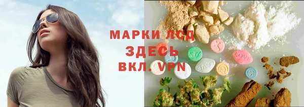 крисы Сатка