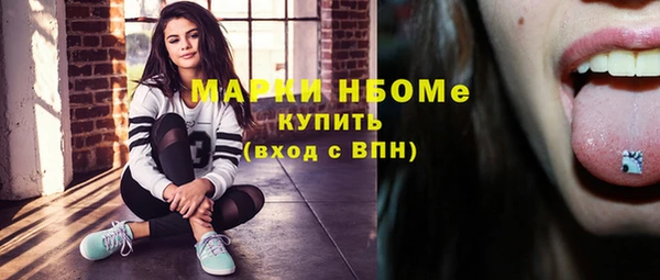 индика Абдулино