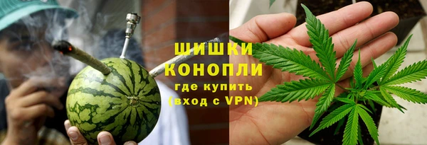 индика Абдулино