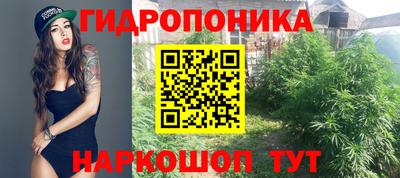 прущая мука Кингисепп