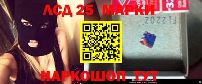 стаф Кимры