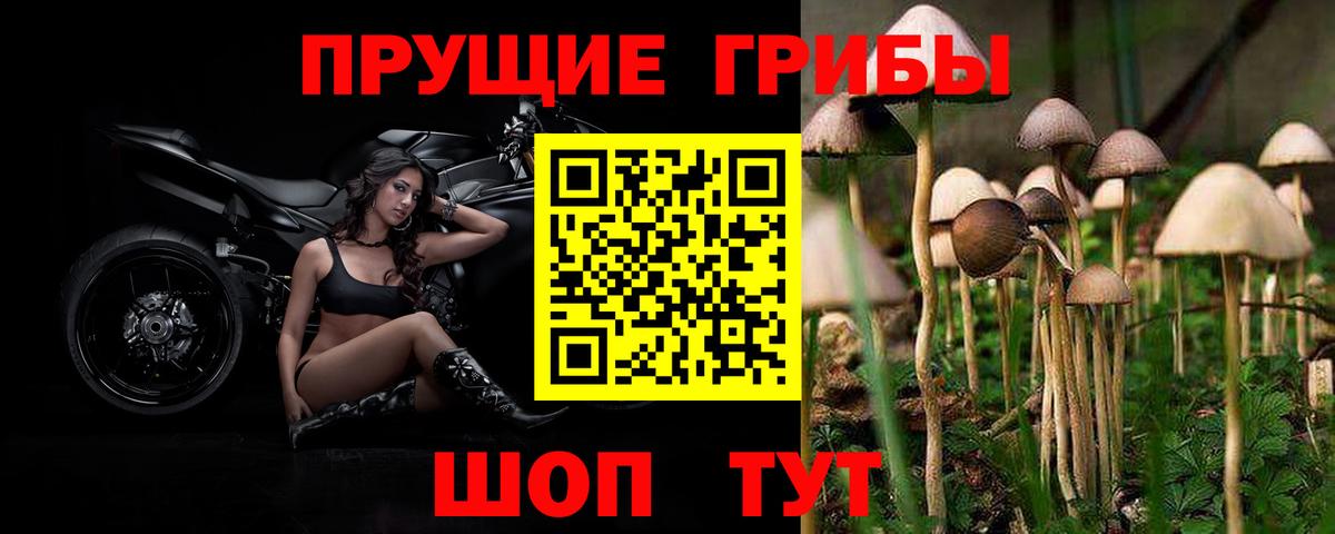 Галлюциногенные грибы MAGIC MUSHROOMS Аксай